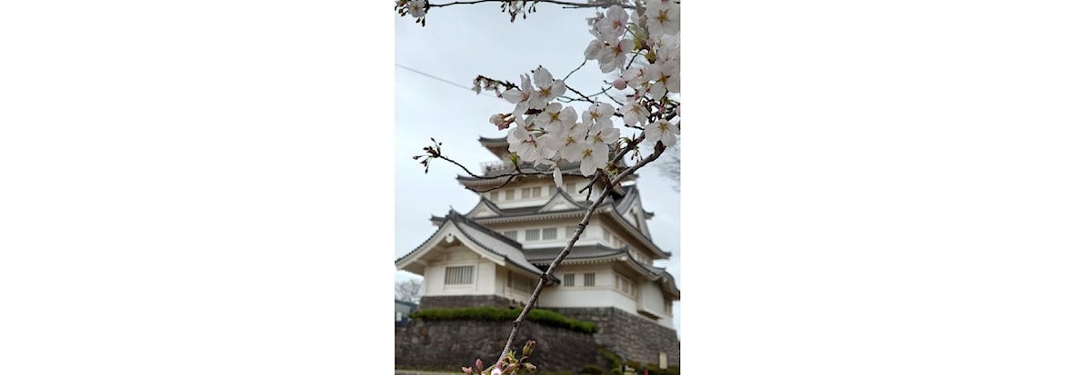 Neste tur til Japan